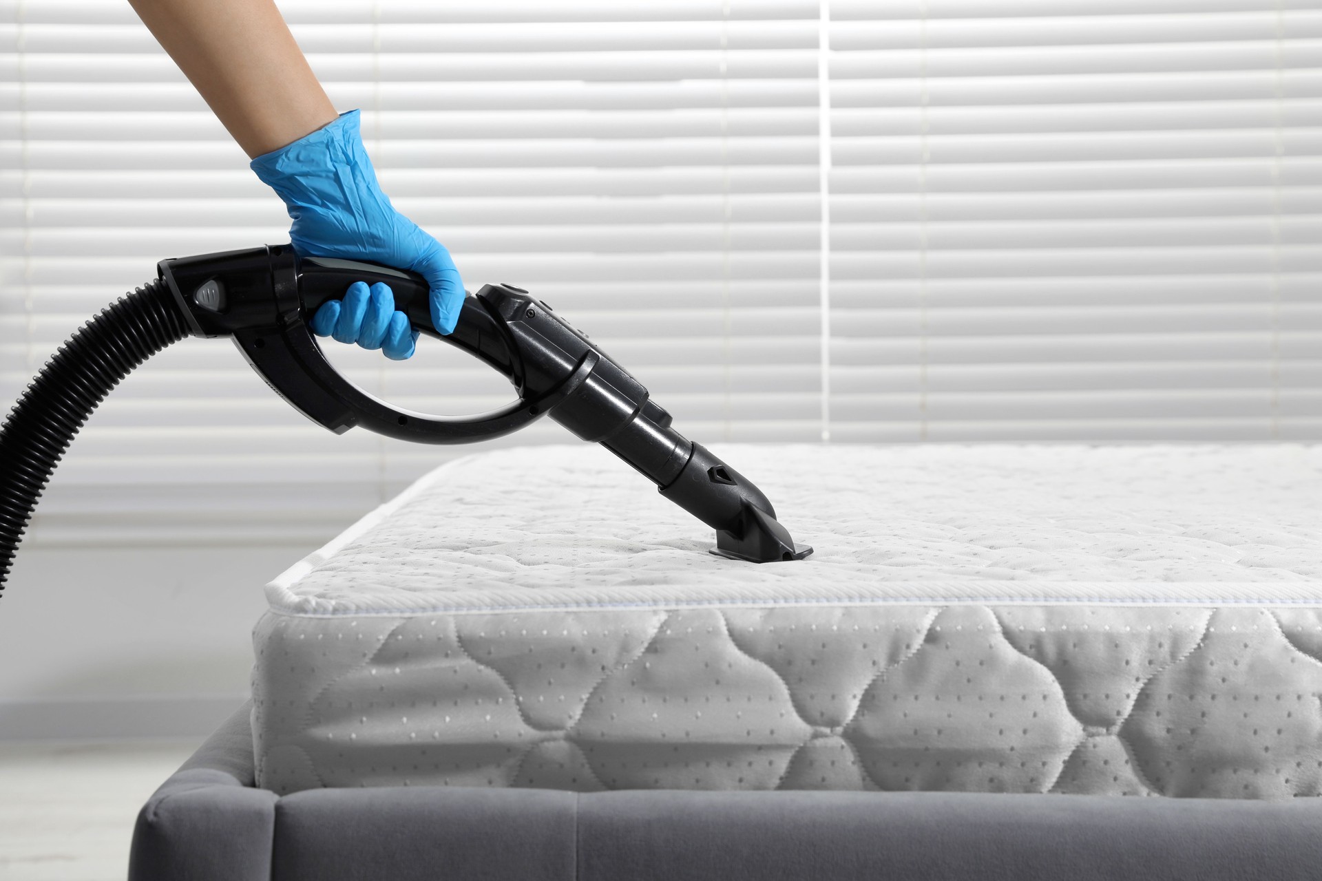 Woman disinfecting mattress withMattress cleaning to remove dust mite allergens